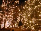 christmas lights