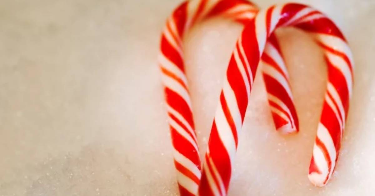 Learn to Make Candy Cane Cookie Sticks - A Holiday Treat