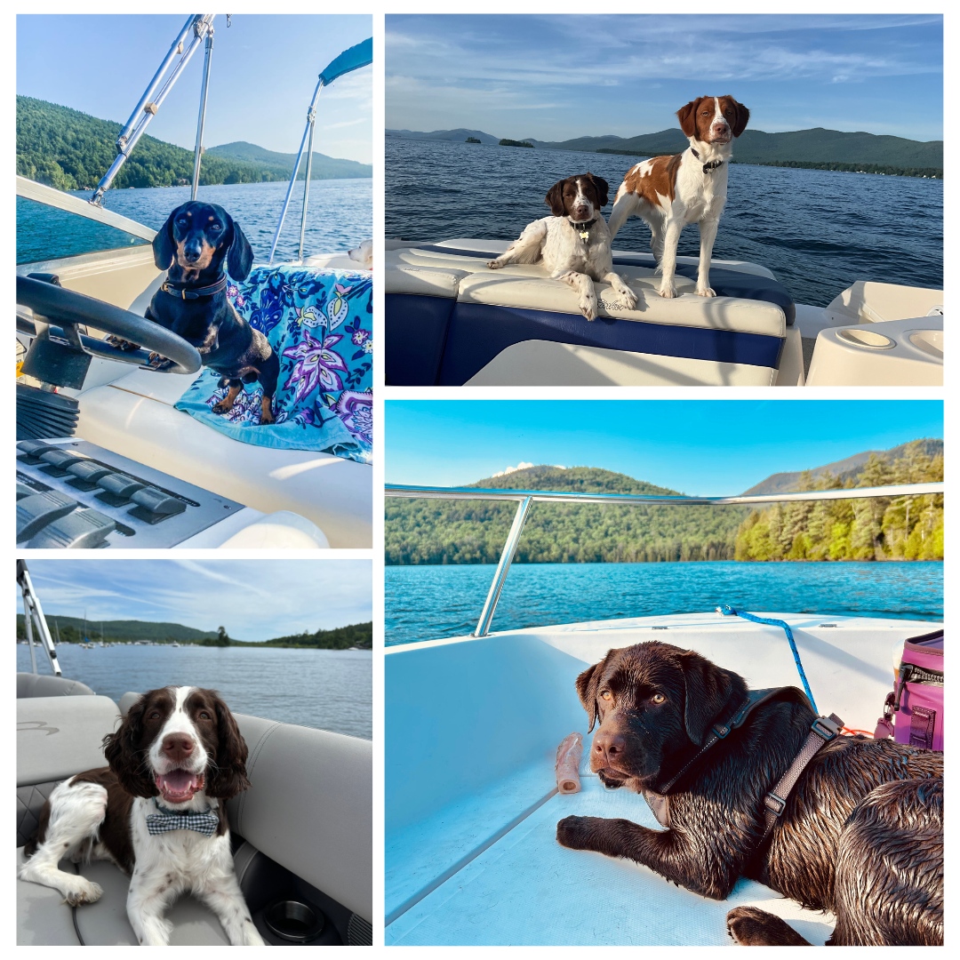 dogs boating lake george ny