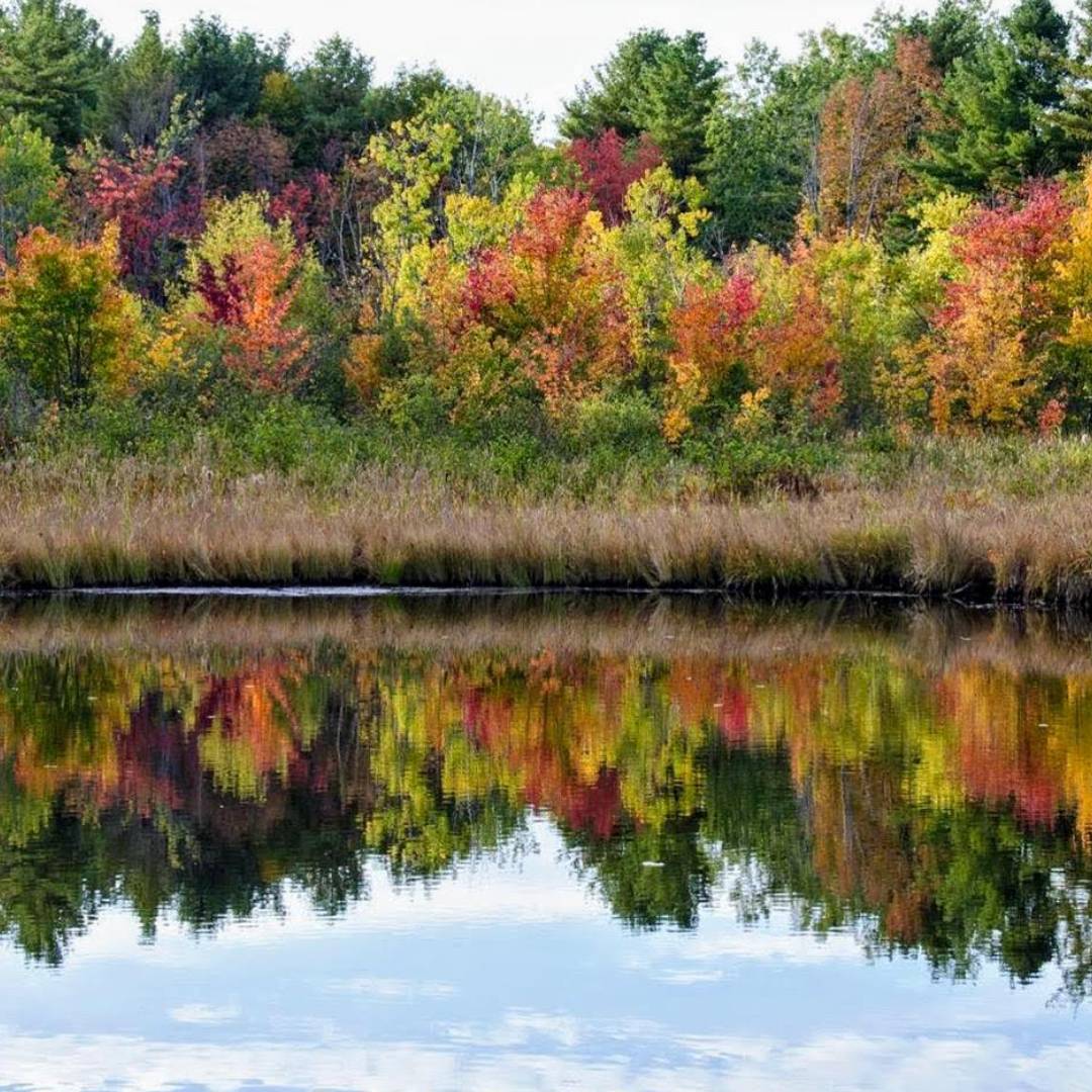 Lake George Hidden Gems to Discover in the Fall