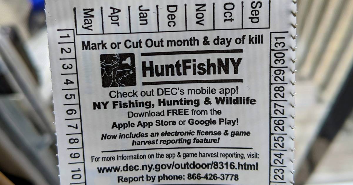 Fishing License Ny Age Unique Fish Photo