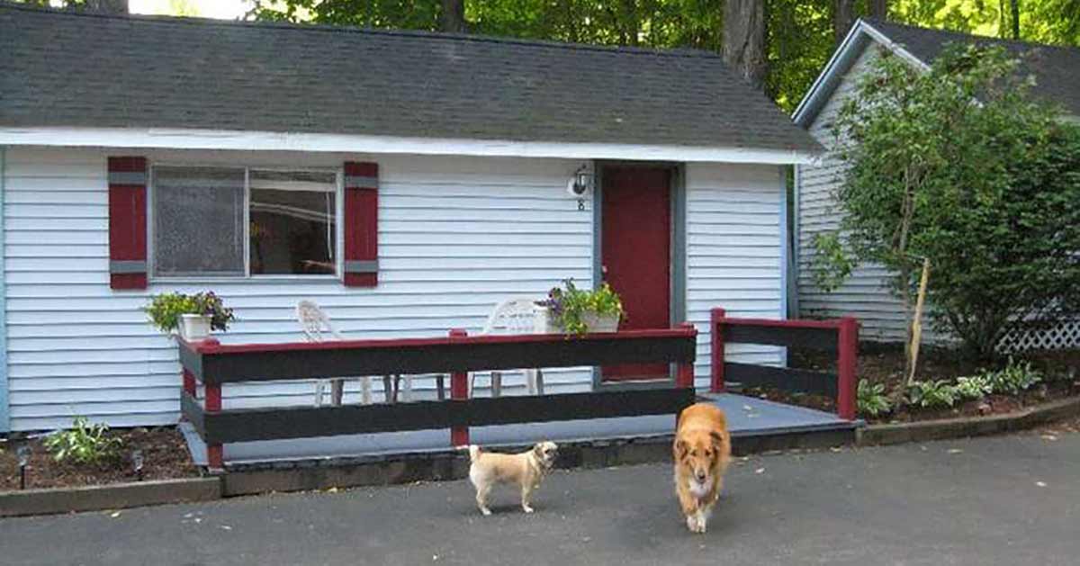 cottages for 4 dogs