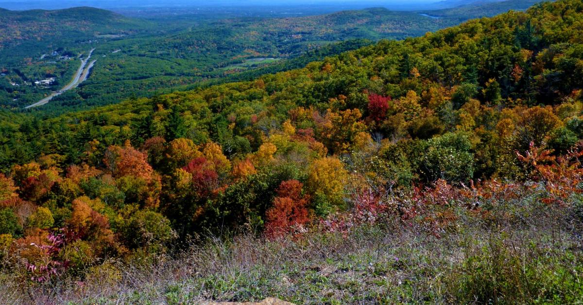 The Top 6 Perfect Fall Foliage Spots in Lake