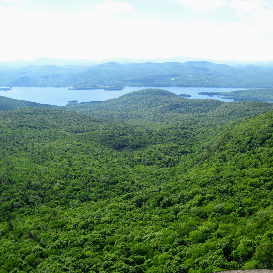 Easy Lake Hiking Trails With Views for Beginners